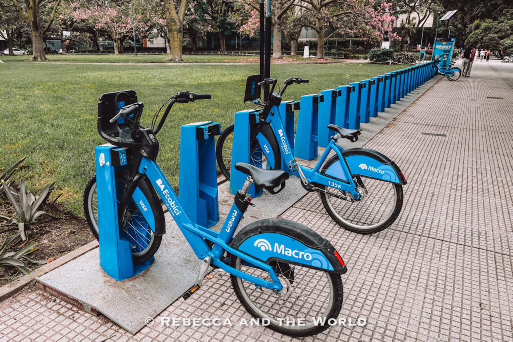 A row of bright blue public rental bicycles sits docked beside a paved walkway and green park in Buenos Aires. Trees and pedestrians appear in the background, showing another option for how to get around Buenos Aires besides buses and the subway.