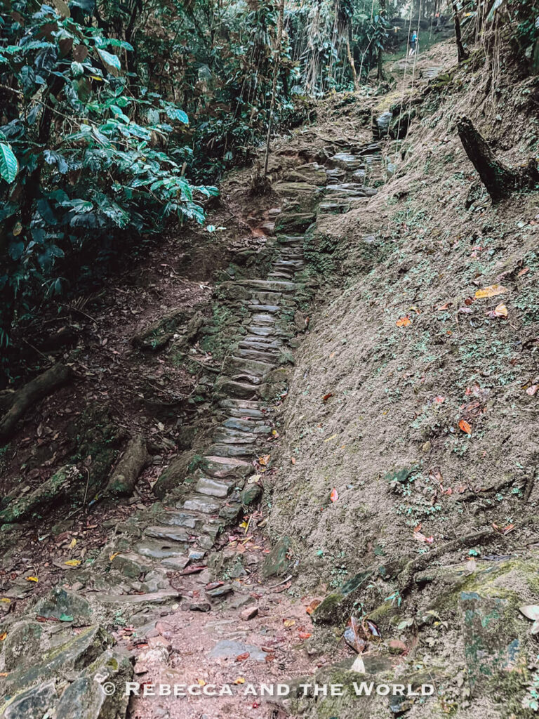 Narrow stone staircase winding uphill through thick rainforest on the Lost City hike to Ciudad Perdida.
