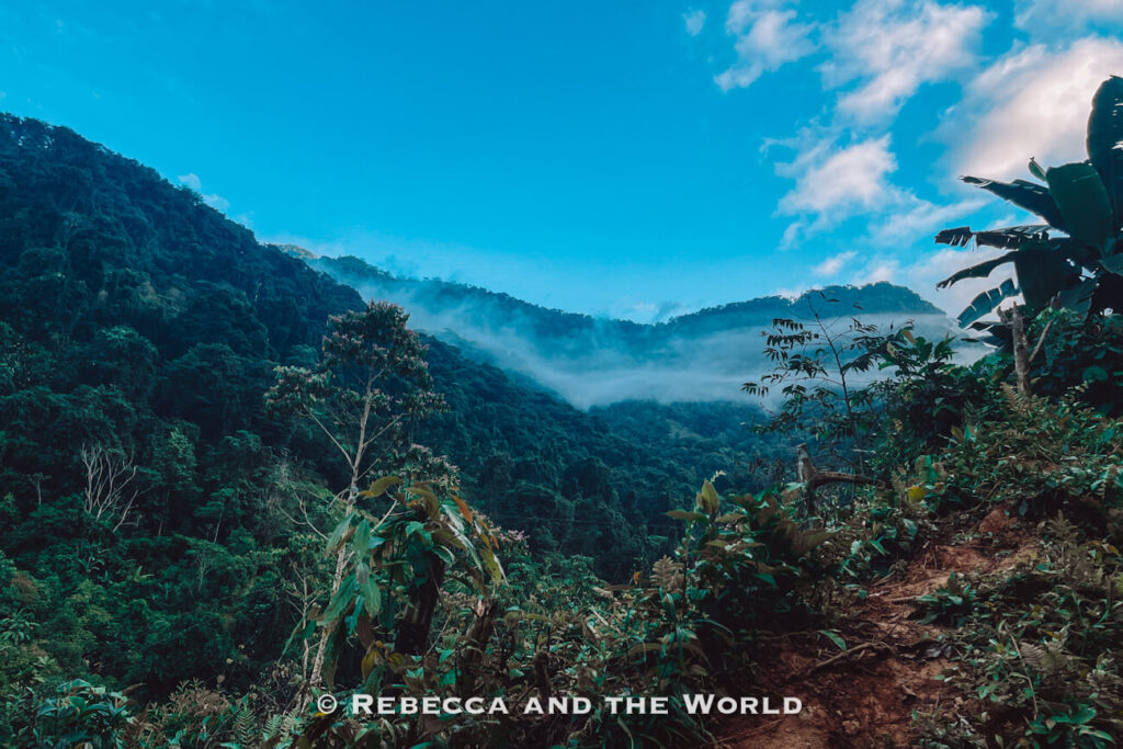 Misty rainforest valley with dense green jungle and low clouds rolling through the mountains along the Ciudad Perdida trek in Colombia.