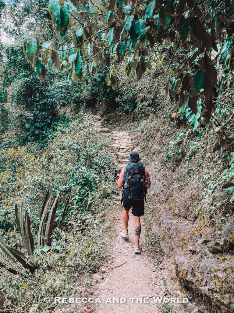 Backpacker hiking along a shaded dirt trail lined with thick vegetation and overhanging trees in the Colombian jungle.