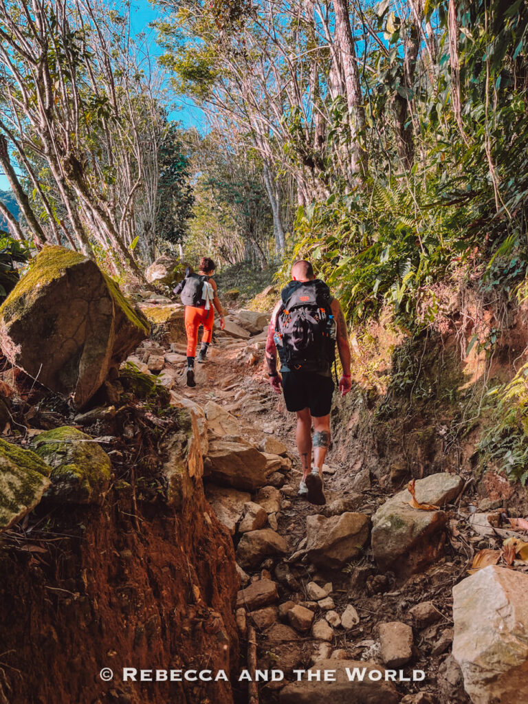 Two hikers climbing a rocky jungle trail lined with trees and moss-covered boulders during the Ciudad Perdida hike.