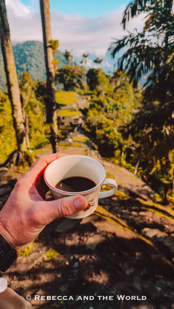 A hand holds a small cup of coffee overlooking the misty mountain landscape of Ciudad Perdida with palm trees and ancient stone terraces.