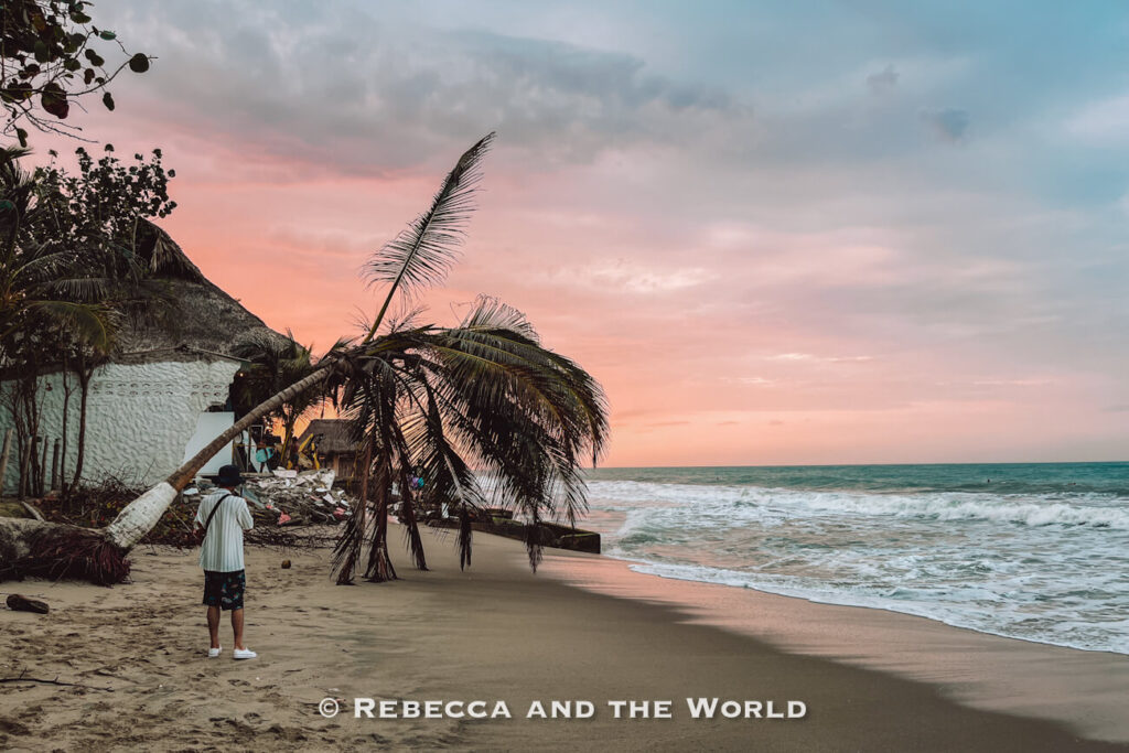 A person stands on a sandy beach looking toward the ocean at sunset. A leaning palm tree stretches over the shoreline, while soft pink and blue hues fill the sky above the waves. Relaxing on beaches like this is highlighted in many Palomino travel guide articles.
