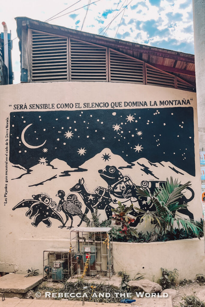 A large black-and-white mural covers the side of a building, depicting animals, stars, mountains, and a night sky. Plants grow in front of the artwork, while utility equipment sits at the base of the wall. Exploring street art is one of the lesser-known things to do in Palomino.