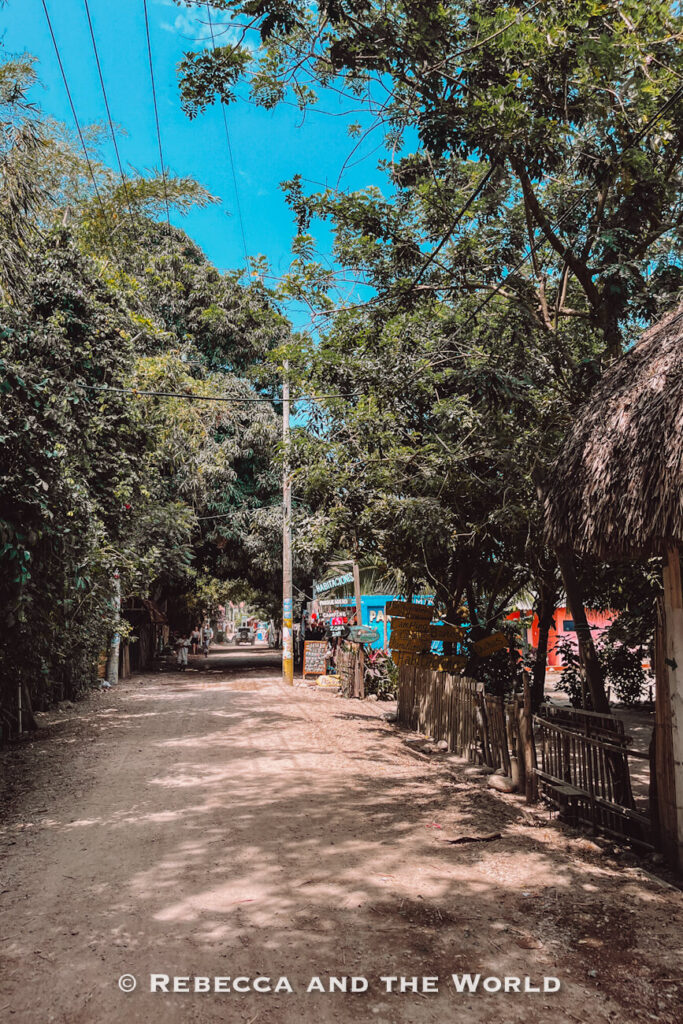 A quiet dirt road stretches beneath a canopy of tropical trees, with small businesses, signs, and thatched-roof structures lining the sides. Sunlight filters through the leaves, creating patches of shade along the street. Walking these roads is one of the relaxing things to do in Palomino.