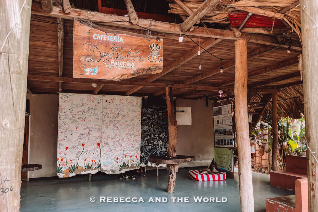 The open entrance of a rustic café features wooden beams, a handwritten sign, and walls covered with notes and messages left by visitors. A dog rests inside near a striped cushion, adding to the welcoming atmosphere. Stopping at cozy cafés like this is a great option for what to do in Palomino.