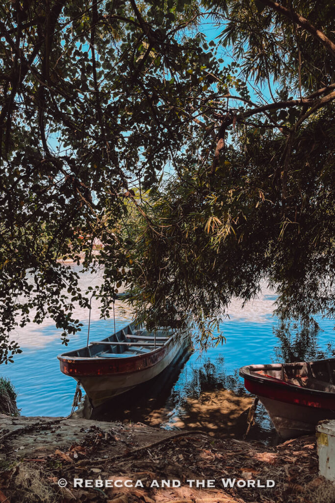 Two small wooden boats are moored along a calm riverbank beneath a canopy of overhanging trees. Sunlight filters through the foliage, casting reflections on the water and creating a peaceful scene often featured in a Palomino travel guide.