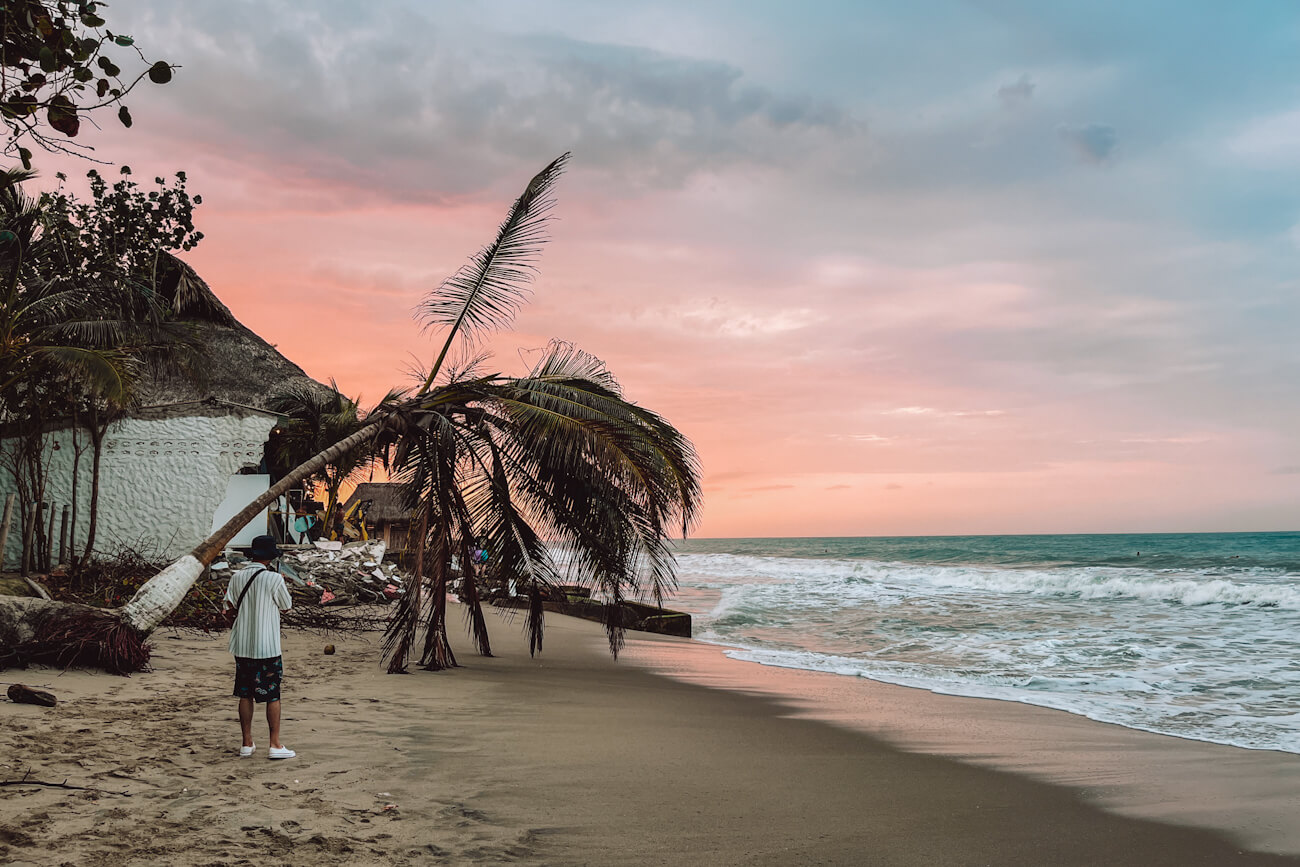 A person stands on a sandy beach looking toward the ocean at sunset. A leaning palm tree stretches over the shoreline, while soft pink and blue hues fill the sky above the waves. Relaxing on beaches like this is highlighted in many Palomino travel guide articles.