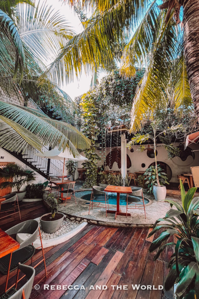 An open-air courtyard café features wooden decking, modern tables and chairs, lush tropical plants, and a small central pool. Palm trees and hanging vines create a jungle-like ambiance under natural daylight. This type of relaxing café stop is often included among the top things to do in Santa Marta.
