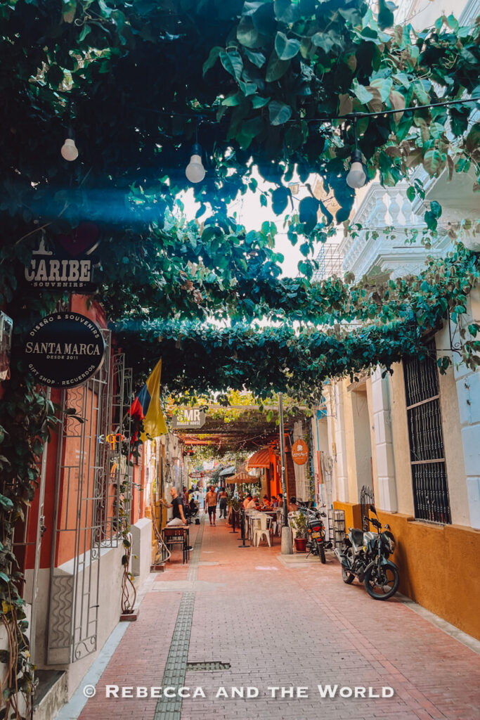 A narrow pedestrian street is shaded by a canopy of hanging vines and string lights stretched between colonial buildings. Small cafés, souvenir shops, parked motorcycles, and outdoor diners line the brick walkway, creating a lively atmosphere. Exploring charming streets like this is a highlight in any Santa Marta travel guide.