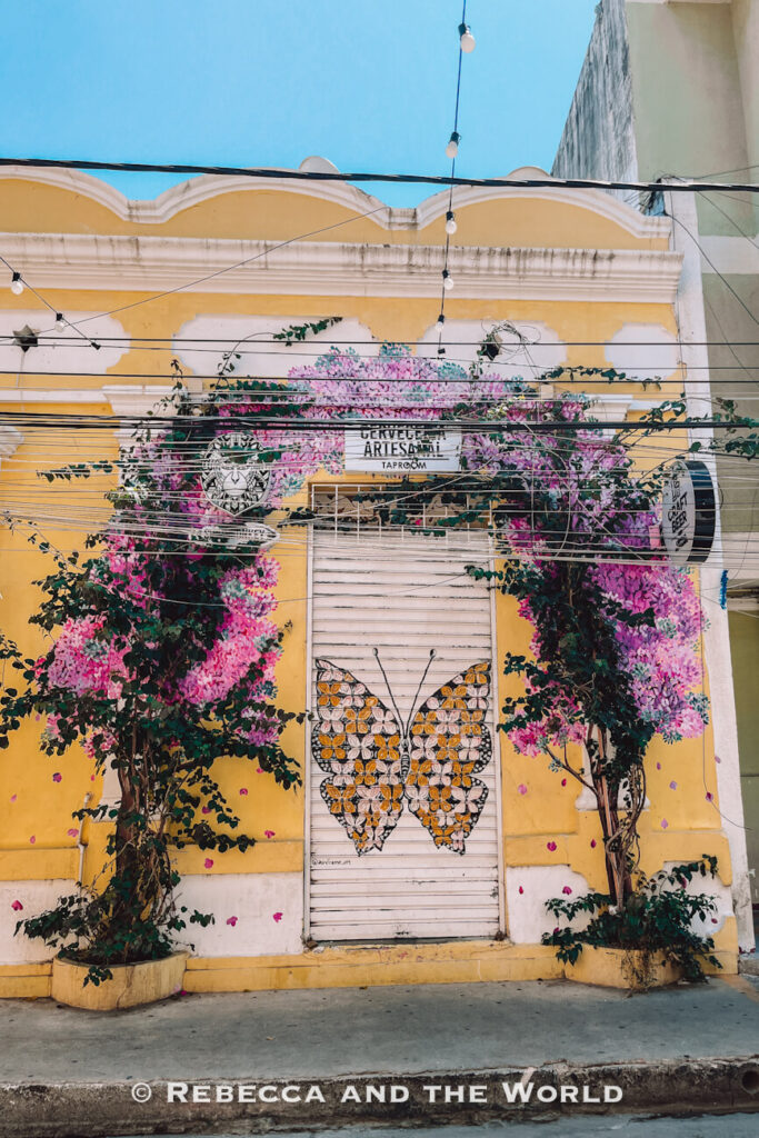 A pastel yellow colonial façade is decorated with pink flowering vines framing a painted butterfly on a closed door. Overhead utility wires cross the scene while the colorful artwork creates a striking contrast against the building. Discovering photogenic architecture like this is a fun answer to what to do in Santa Marta.