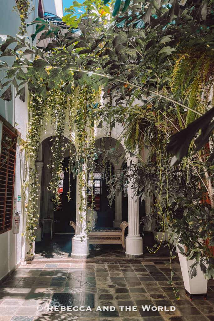 A lush interior courtyard is filled with hanging vines, ferns, palms, and large tropical plants surrounding white columns and arched walkways. Sunlight streams through the foliage, creating a tranquil oasis inside a historic building. Relaxing in tropical courtyards is one of the hidden things to do in Santa Marta.