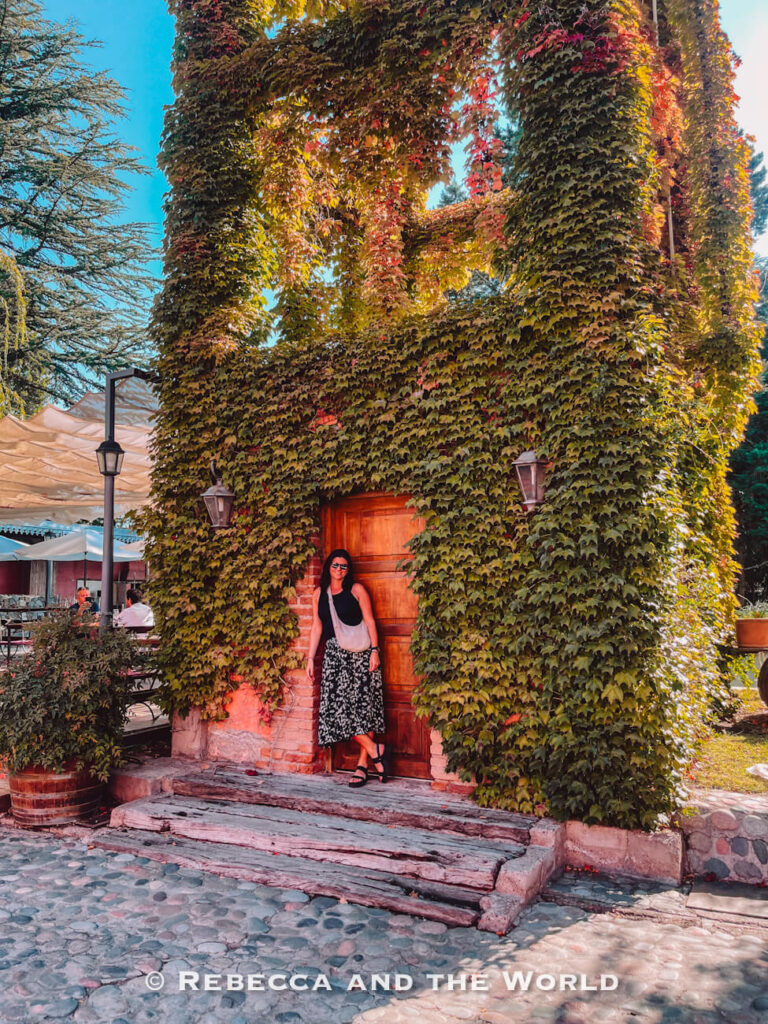 Person (the author of this article) standing in a wooden doorway of a tall ivy-covered building with climbing vines in shades of green, red, and gold wrapping around the walls and upper structure, with stone steps and an outdoor seating area visible beside the entrance. A picturesque stop while visiting Mendoza.
