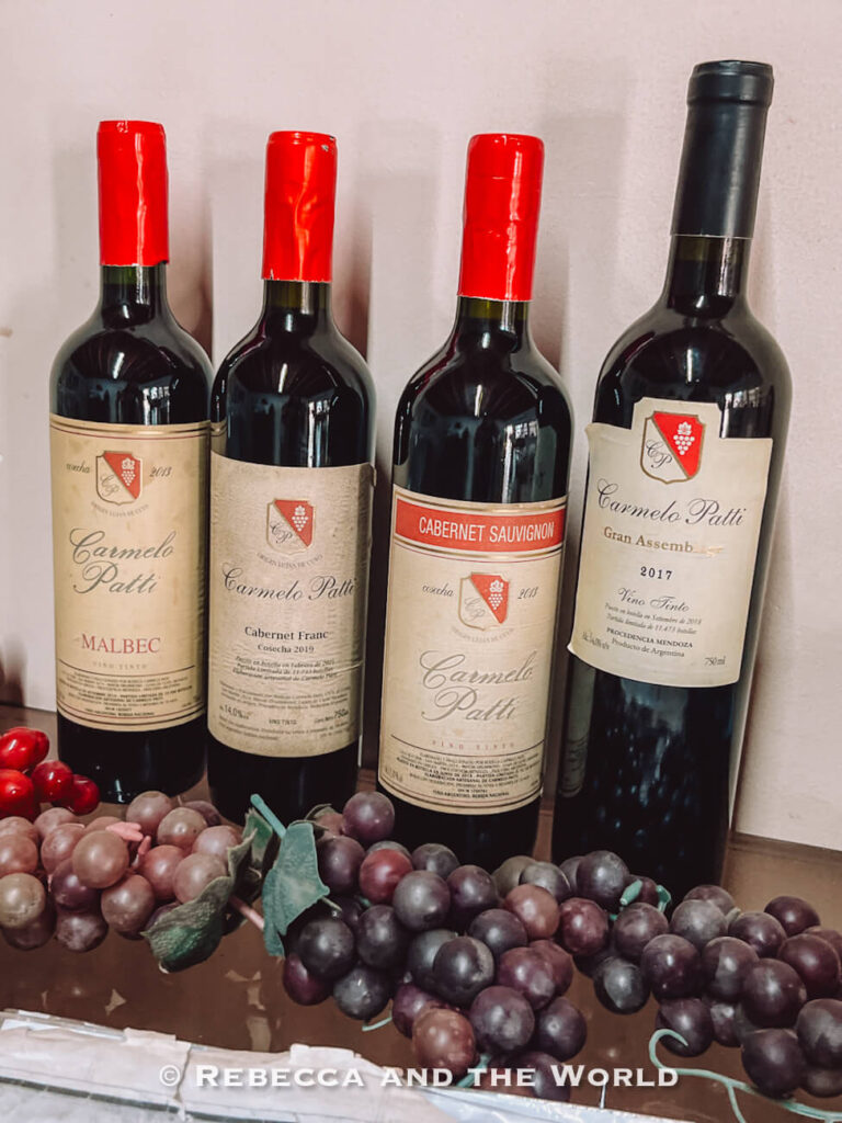 Display of Carmelo Patti wines, including bottles of Malbec, Cabernet Franc, Cabernet Sauvignon and Gran Assemblage arranged on a shelf with decorative bunches of grapes at one of the boutique wineries in Mendoza.