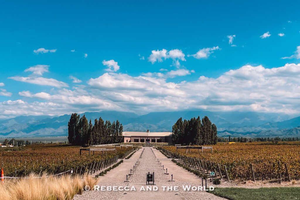 Long gravel path leading through rows of vineyards toward a winery building framed by tall trees, with the Andes Mountains and dramatic clouds stretching across the background at one of the scenic wineries in Mendoza. This is Bodega Salentein, one of the most impressive Mendoza wineries.
