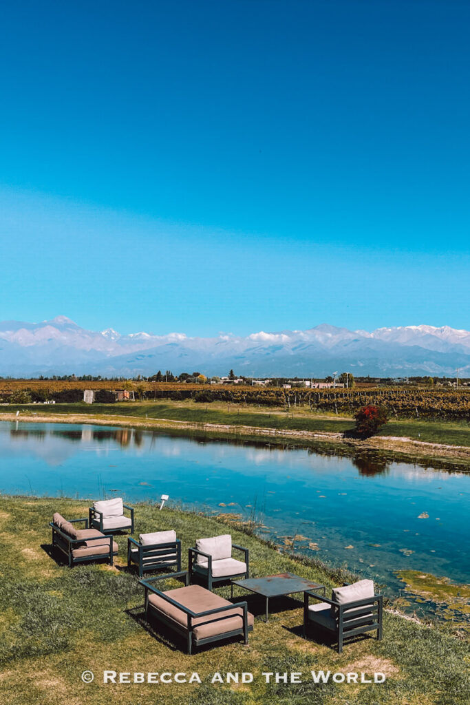 Outdoor seating area at Domaine Bousquet beside a pond overlooking vineyards and the Andes Mountains, with cushioned lounge chairs arranged on the grass and clear views across the landscape while visiting Mendoza wine country.