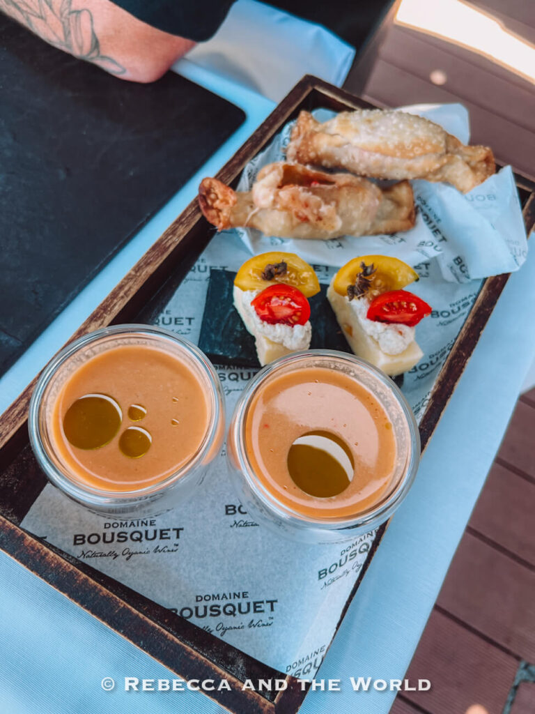 Small plates served at Domaine Bousquet during a Mendoza wine tasting, including two glasses of chilled soup topped with olive oil, bite-sized canapés garnished with cherry tomatoes and herbs, and crisp fried pastries arranged on a wooden serving tray.