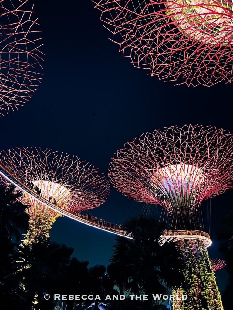 Illuminated Supertrees glowing pink and white against the night sky, with visitors crossing the OCBC Skyway at Gardens by the Bay.