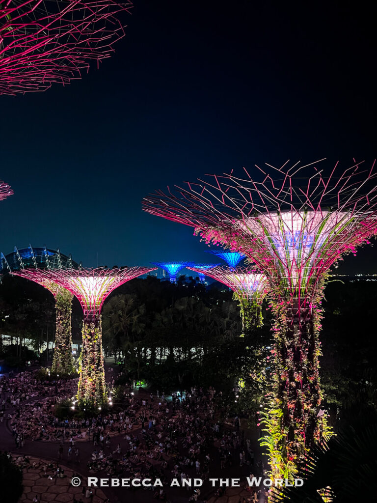Gardens by the Bay’s towering Supertrees lit in pink, white and blue above crowds gathered for the nightly Garden Rhapsody light show.