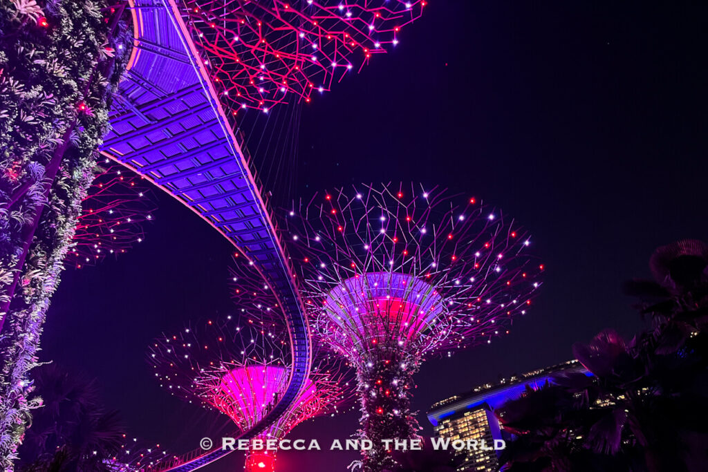 Curving OCBC Skyway and Supertrees covered in pink, purple and white lights during the Garden Rhapsody show, with Marina Bay Sands in the background.