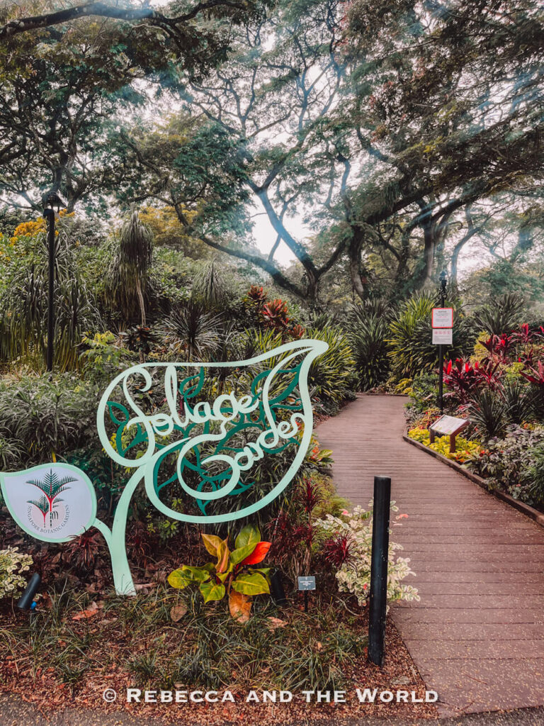 Wooden path leading into the colourful Foliage Garden at the Singapore Botanic Gardens, surrounded by tropical plants beneath mature trees.