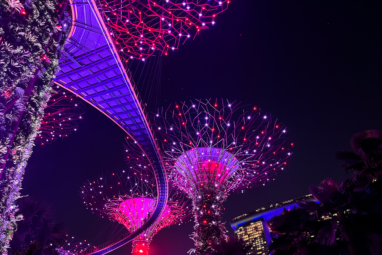 Curving OCBC Skyway and Supertrees covered in pink, purple and white lights during the Garden Rhapsody show, with Marina Bay Sands in the background.