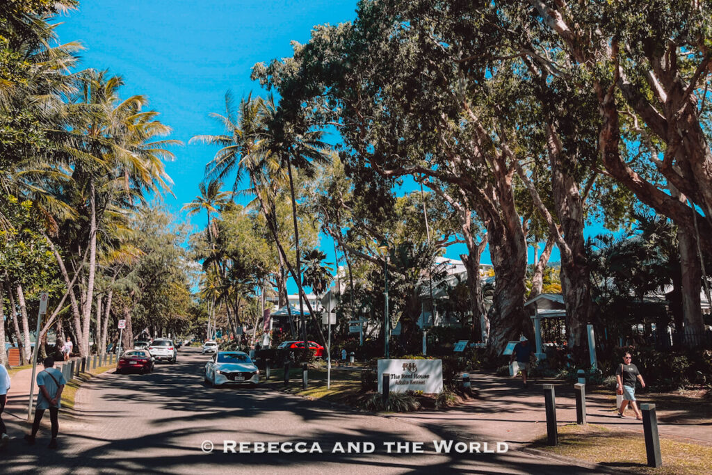 Palm-lined street in Palm Cove, a shady township stop on the Cairns to Port Douglas drive along the Captain Cook Highway