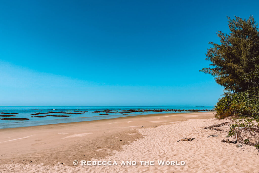 Empty curved sweep of sand at Pretty Beach, one of the quietest beaches on the Cairns to Port Douglas drive