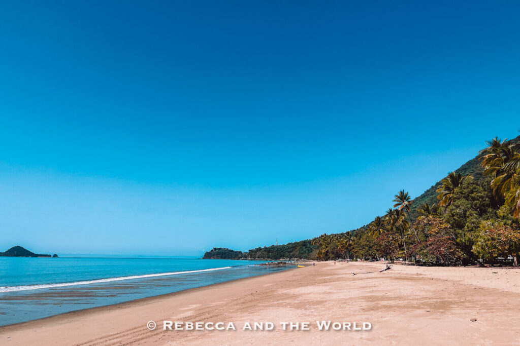 Long stretch of Ellis Beach backed by palms and rainforest-covered hills, a popular swimming stop on the Cairns to Port Douglas drive