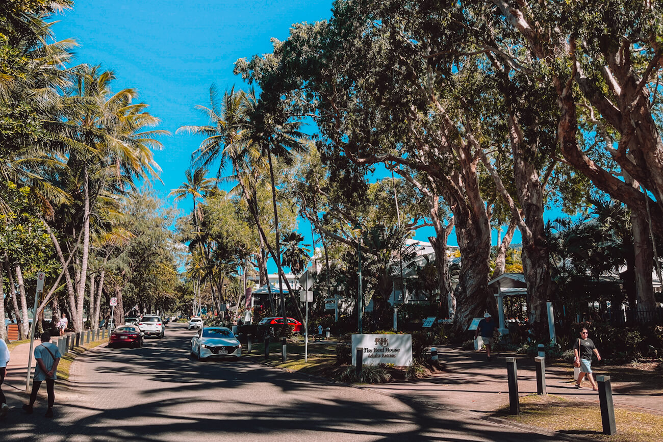Palm-lined street in Palm Cove township, one of the best stops on the Cairns to Port Douglas drive