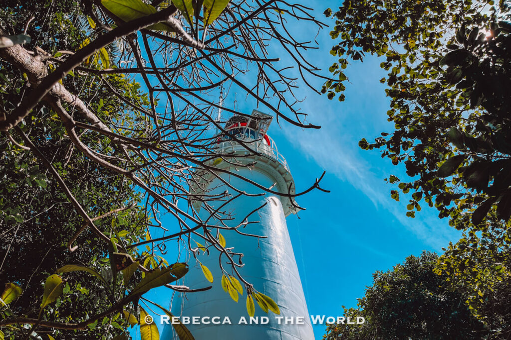 The heritage-listed Low Isles lighthouse framed by rainforest branches against a bright blue sky