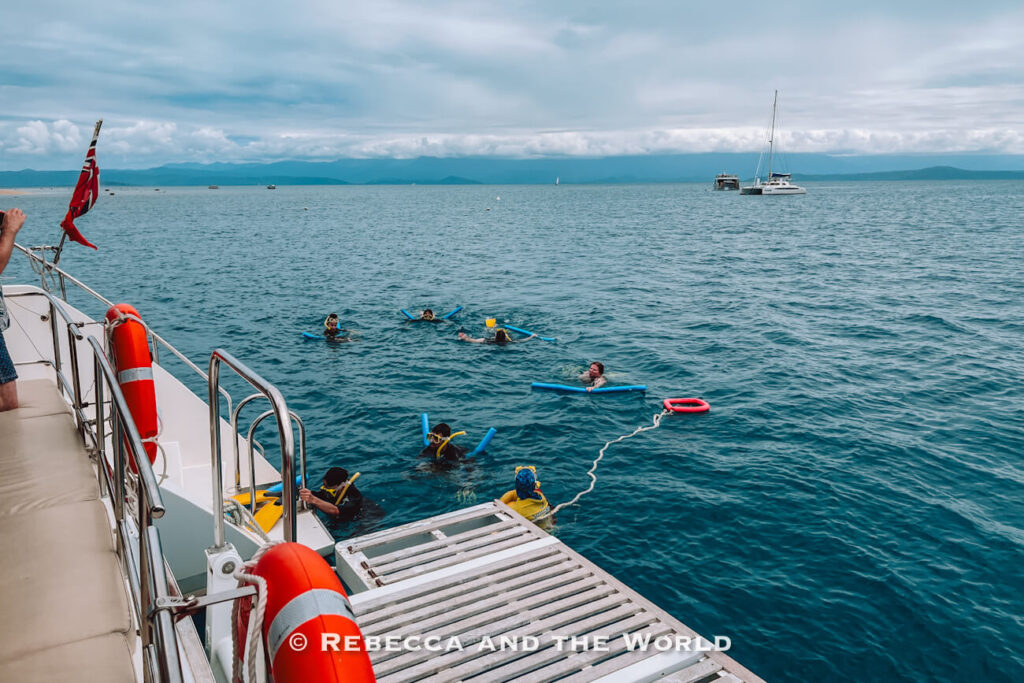 Snorkellers in the water near the Sailaway catamaran, holding pool noodles and flotation aids during a Great Barrier Reef snorkelling session