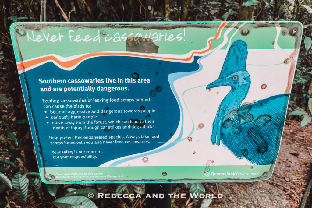 Queensland Parks and Wildlife Service warning sign asking visitors not to feed cassowaries in the Daintree Rainforest near Cape Tribulation