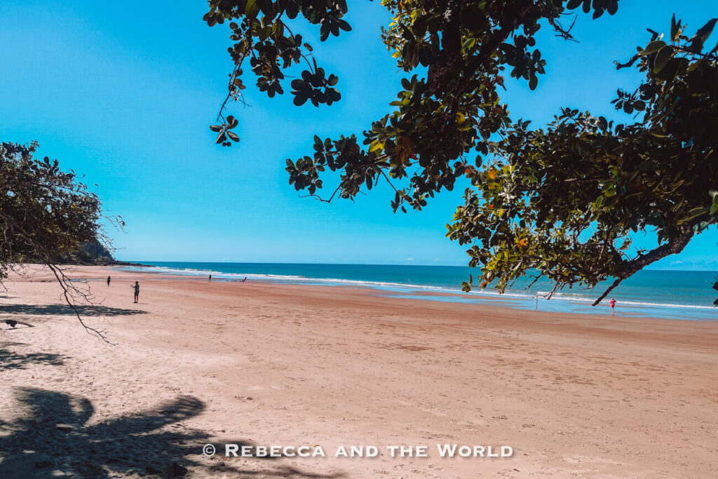 Quiet stretch of sand at Cow Bay beach along the Cape Tribulation coastline