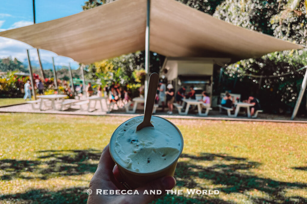Daintree Ice Cream Company, a popular ice cream stop on the drive to Cape Tribulation