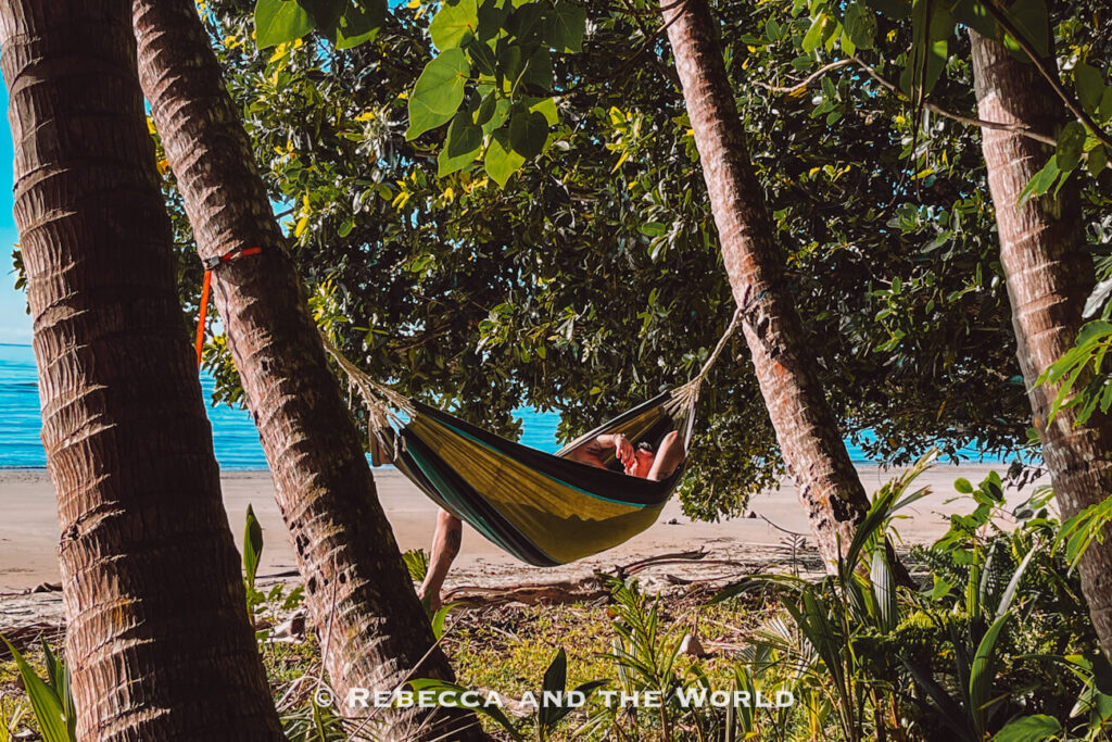 Hammock strung between trees near the beach at Cape Tribulation