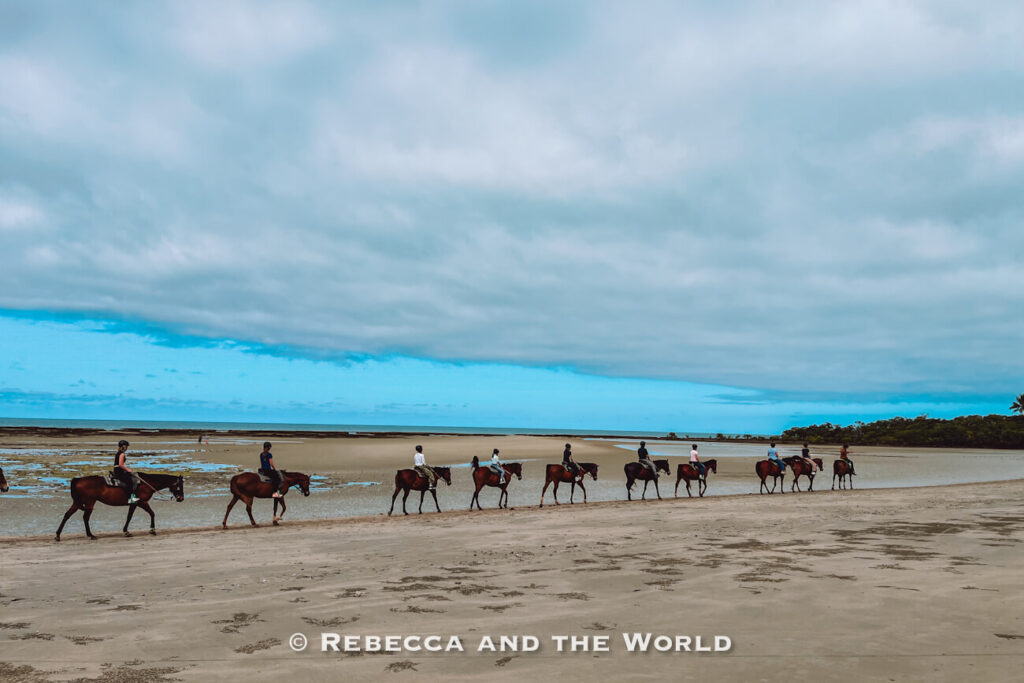 Horses on the beach with Cape Trib Horse Rides near Cape Tribulation