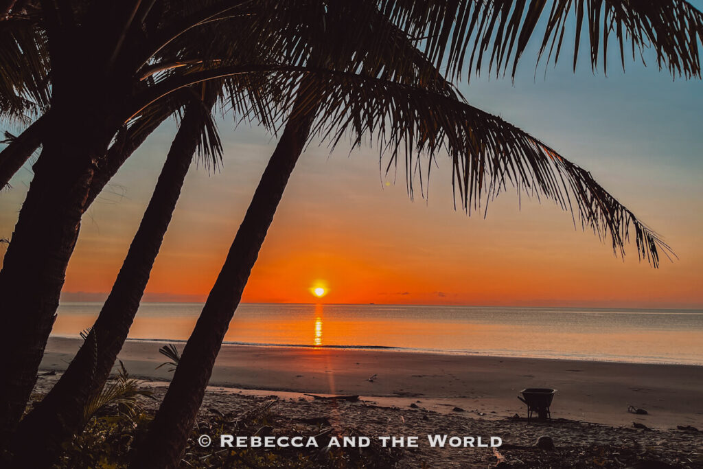 A deep orange sunset seen through palm trees at Cape Tribulation Camping, where the Daintree Rainforest meets the Great Barrier Reef