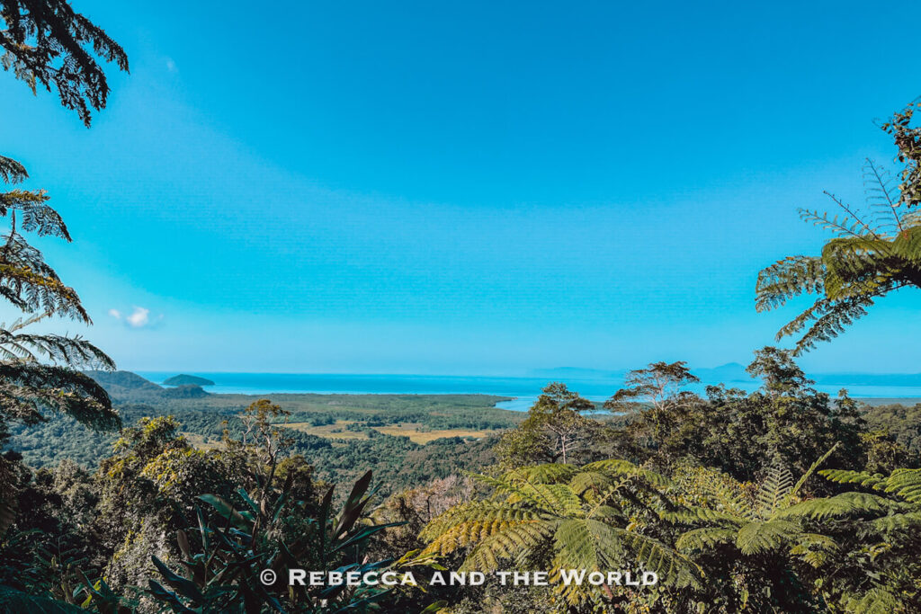 Sweeping coastal views from the Walu Wugirriga (Mount Alexandra) Lookout near Cape Tribulation, taking in the mouth of the Daintree River