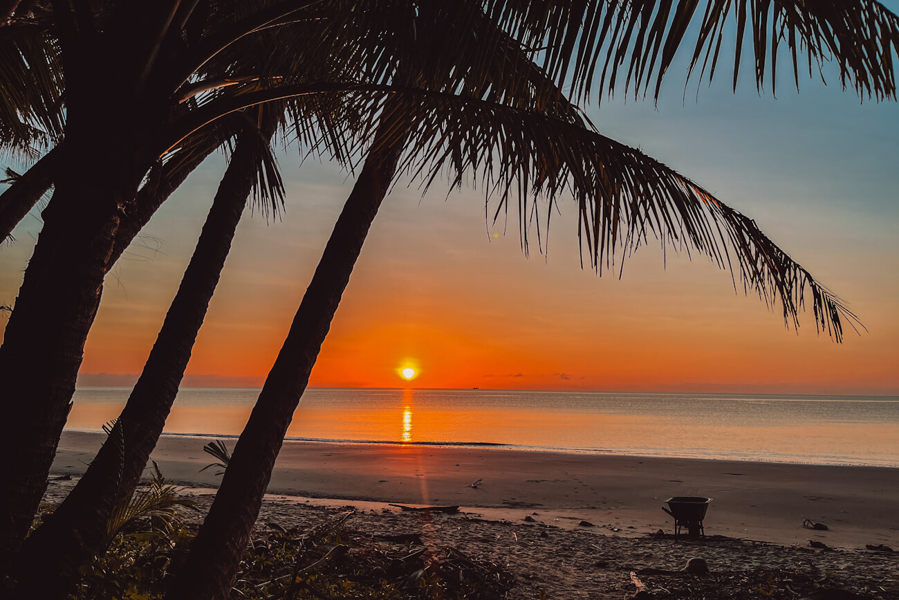 A deep orange sunset seen through palm trees at Cape Tribulation Camping, where the Daintree Rainforest meets the Great Barrier Reef