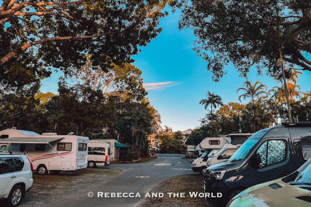 Campervans and caravans parked at the shaded Tropic Breeze Caravan Park in Port Douglas, a popular option for road trippers exploring Tropical North Queensland