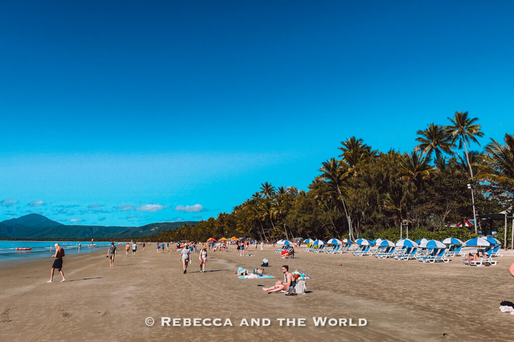 Sun loungers and umbrellas lined up along the sand at Four Mile Beach, one of the top things to do in Port Douglas