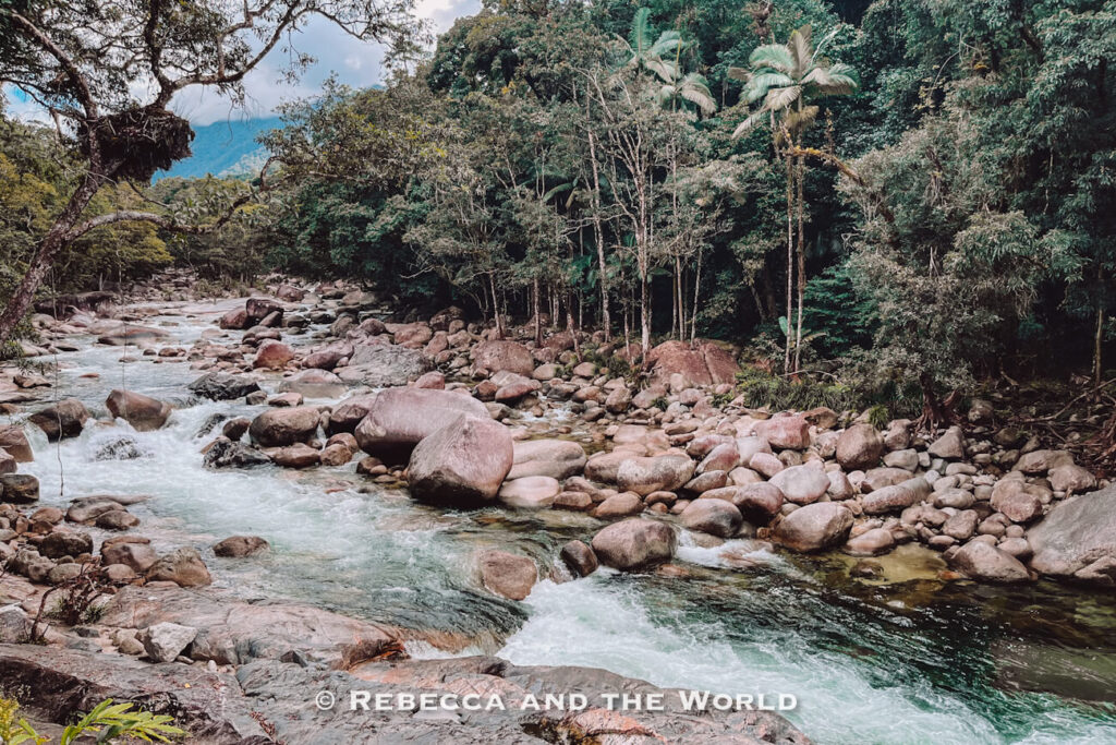 The Mossman River rushing over granite boulders through the rainforest, seen from the lookout at the end of the Baral Marrjanga Walk