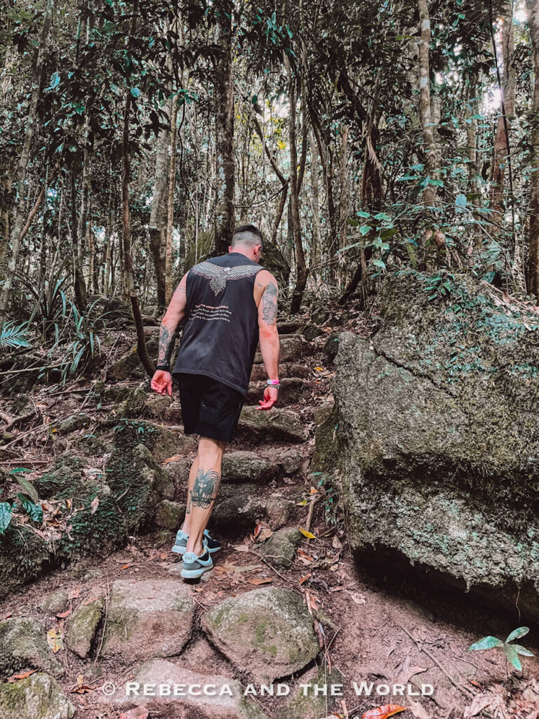 A man (the author's husband) climbing rocky steps beside a huge mossy boulder on the Rainforest Circuit Track at Mossman Gorge